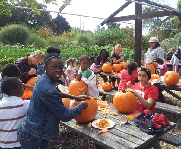 Children carving pumpkins
